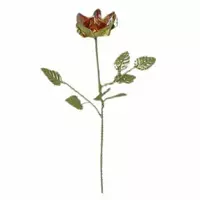 Роза бронзова (20 см)